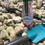 Landliebe Buttermilch Erdbeer